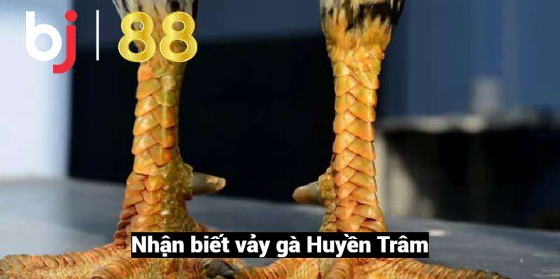 Xem vảy gà Huyền Trâm